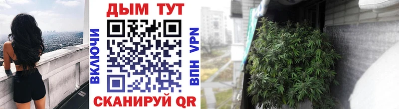 Купить наркотик Пугачёв Псилоцибиновые грибы  Alpha-PVP  OMG ссылка  Кокаин  МЕФ 