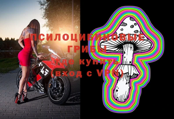 соль ск Алзамай