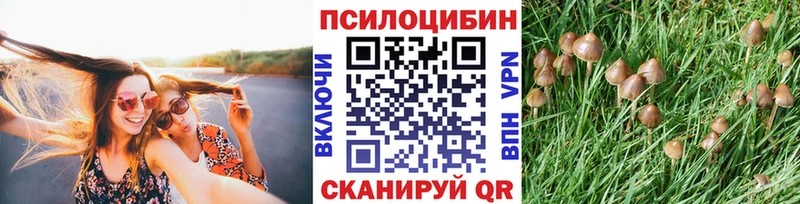 Псилоцибиновые грибы Psilocybe  blacksprut как войти  Пугачёв  сайты даркнета Telegram  цены наркотик 